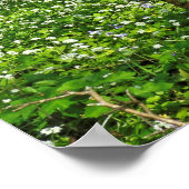 Woodland Scene. Zwarte Bossen, Cardiff Poster (Hoek)