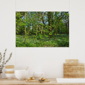 Woodland Scene. Zwarte Bossen, Cardiff Poster (Keuken)