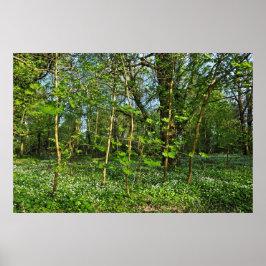 Woodland Scene. Zwarte Bossen, Cardiff Poster