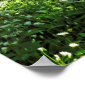 Woodland Scene. Zwarte Bossen, Cardiff Poster (Hoek)