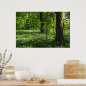 Woodland Scene. Zwarte Bossen, Cardiff Poster (Keuken)