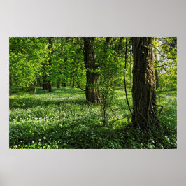 Woodland Scene. Zwarte Bossen, Cardiff Poster