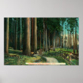 Woodland SceneEugene, OR Poster (Voorkant)