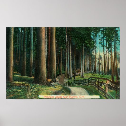 Woodland SceneEugene, OR Poster (Voorkant)