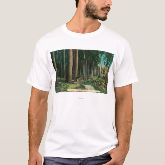 Woodland SceneEugene, OR T-shirt (Voorkant)