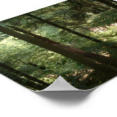 Woodland Serenity Poster (Hoek)