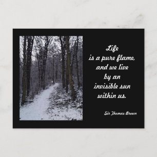 Woodland Sneeuwscène Briefkaart