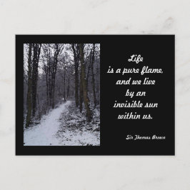 Woodland Sneeuwscène Briefkaart