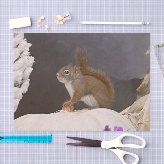 Woodland Squirrel op pompoen Tissuepapier (Craft)