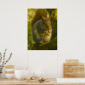 Woodland Squirrel - Realistische kunst van het wil Poster (Keuken)