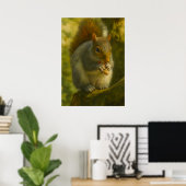Woodland Squirrel - Realistische kunst van het wil Poster (Thuiskantoor)