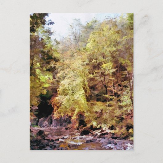 WOODLAND STREAM BRIEFKAART (Voorkant)