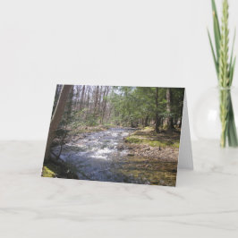 Woodland Stream II Bedankkaart
