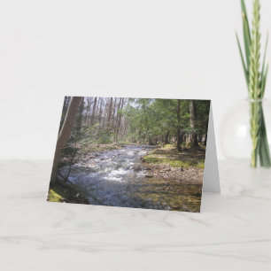 Woodland Stream II Bedankkaart