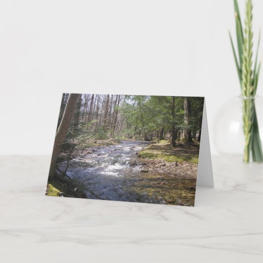 Woodland Stream II Bedankkaart (Voorkant)