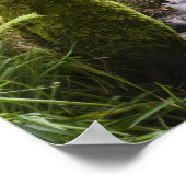 Woodland Stream in het Lake District Poster (Hoek)