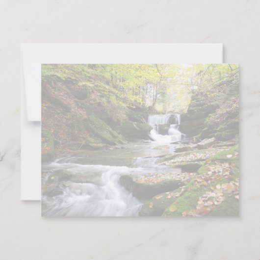 Woodland Stream met het troostende Bijbelbericht Kaart (Achterkant)