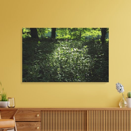 Woodland Sunlight 01 Canvas Afdruk (Insitu (Woonkamer))