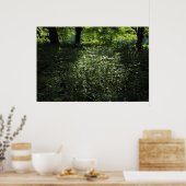 Woodland Sunlight 01 Poster (Keuken)