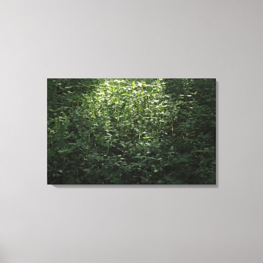 Woodland Sunlight 02 Canvas Afdruk (Voorkant)