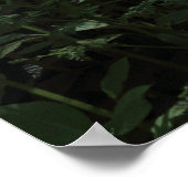 Woodland Sunlight 02 Poster (Hoek)