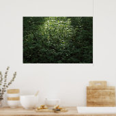 Woodland Sunlight 02 Poster (Keuken)