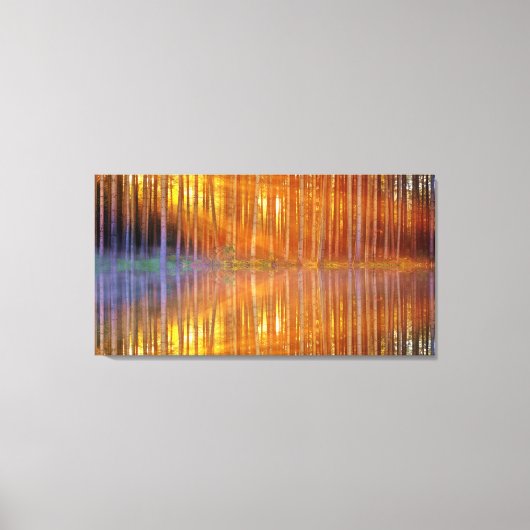  Woodland Sunset Golden Reflection Geometrisch Canvas Afdruk (Voorkant)