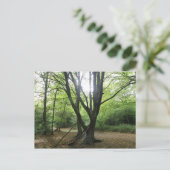 Woodland Sunshine Briefkaart (Staand voorkant)