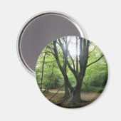 Woodland Sunshine Magnet (Voorkant / Achterkant)