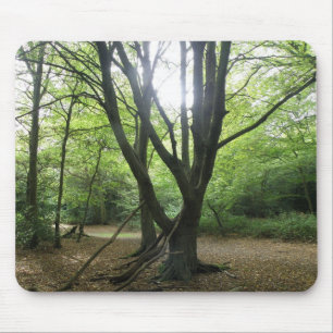 Woodland Sunshine Mousepad Muismat