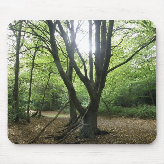 Woodland Sunshine Mousepad Muismat (Voorkant)
