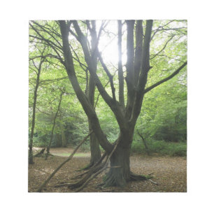 Woodland Sunshine Notepad Notitieblok