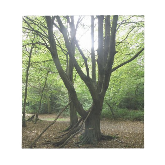 Woodland Sunshine Notepad Notitieblok (Voorkant)