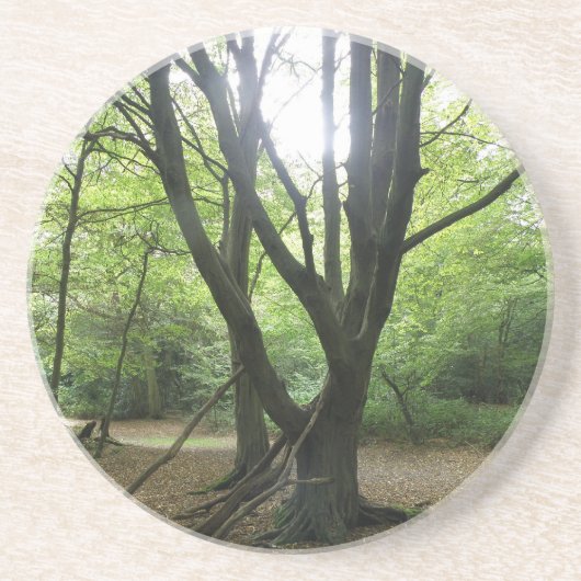 Woodland Sunshine Onderzetters (Voorkant)
