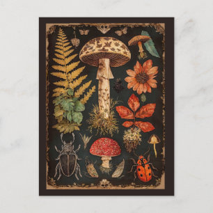  Woodland Toadstool Cottagecore Briefkaart