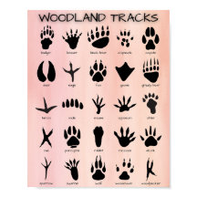 Woodland Tracks-Poster