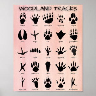 Woodland Tracks-Poster Poster