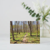 Woodland Trail in de vroege lente Briefkaart (Staand voorkant)