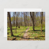 Woodland Trail in de vroege lente Briefkaart (Voorkant / Achterkant)