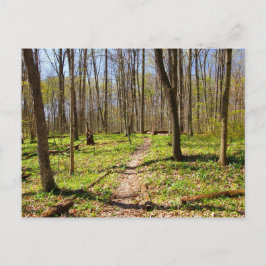 Woodland Trail in de vroege lente Briefkaart