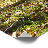 Woodland Trail in de vroege lente Poster (Hoek)