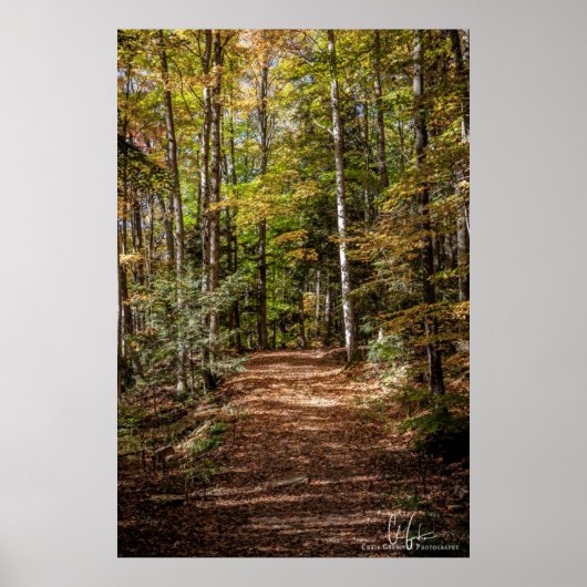 Woodland Trail Poster (Voorkant)