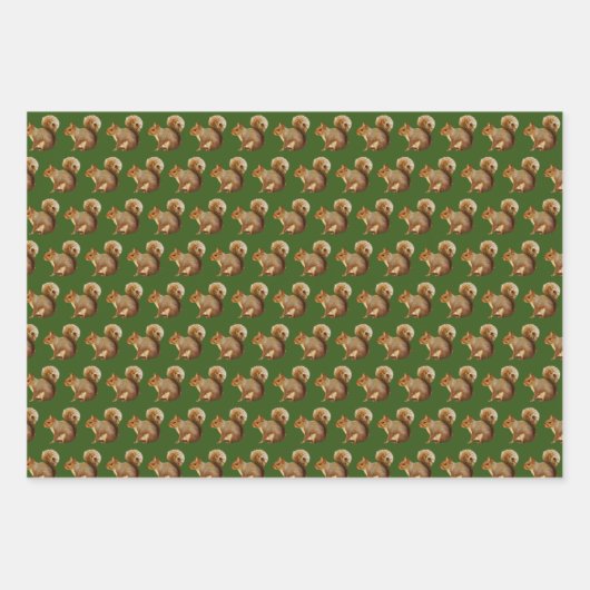 Woodland Vibes Squirrel Inpakpapier Vel (Voorkant)