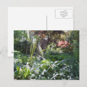 Woodland Walk Briefkaart (Voorkant / Achterkant)