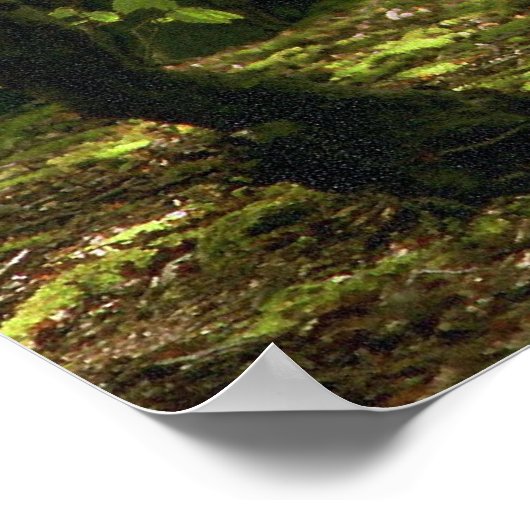 Woodland Walk Poster (Hoek)