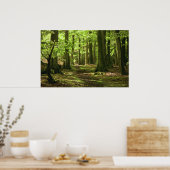Woodland Walk Poster (Keuken)