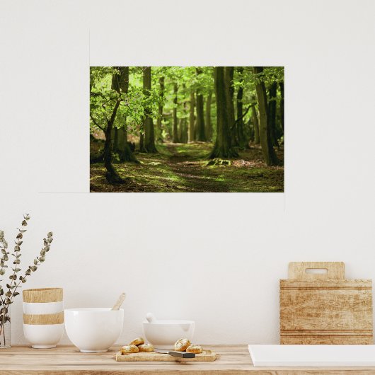 Woodland Walk Poster (Keuken)
