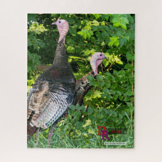 Woodland Watch: Wild Turkey Duo aangekondigd Legpuzzel
