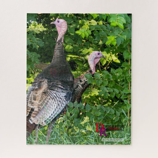 Woodland Watch: Wild Turkey Duo aangekondigd Legpuzzel (Verticaal)