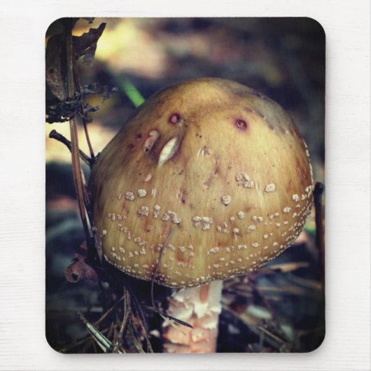 Woodland Wild Mushroom Natuur Muismat (Voorkant)